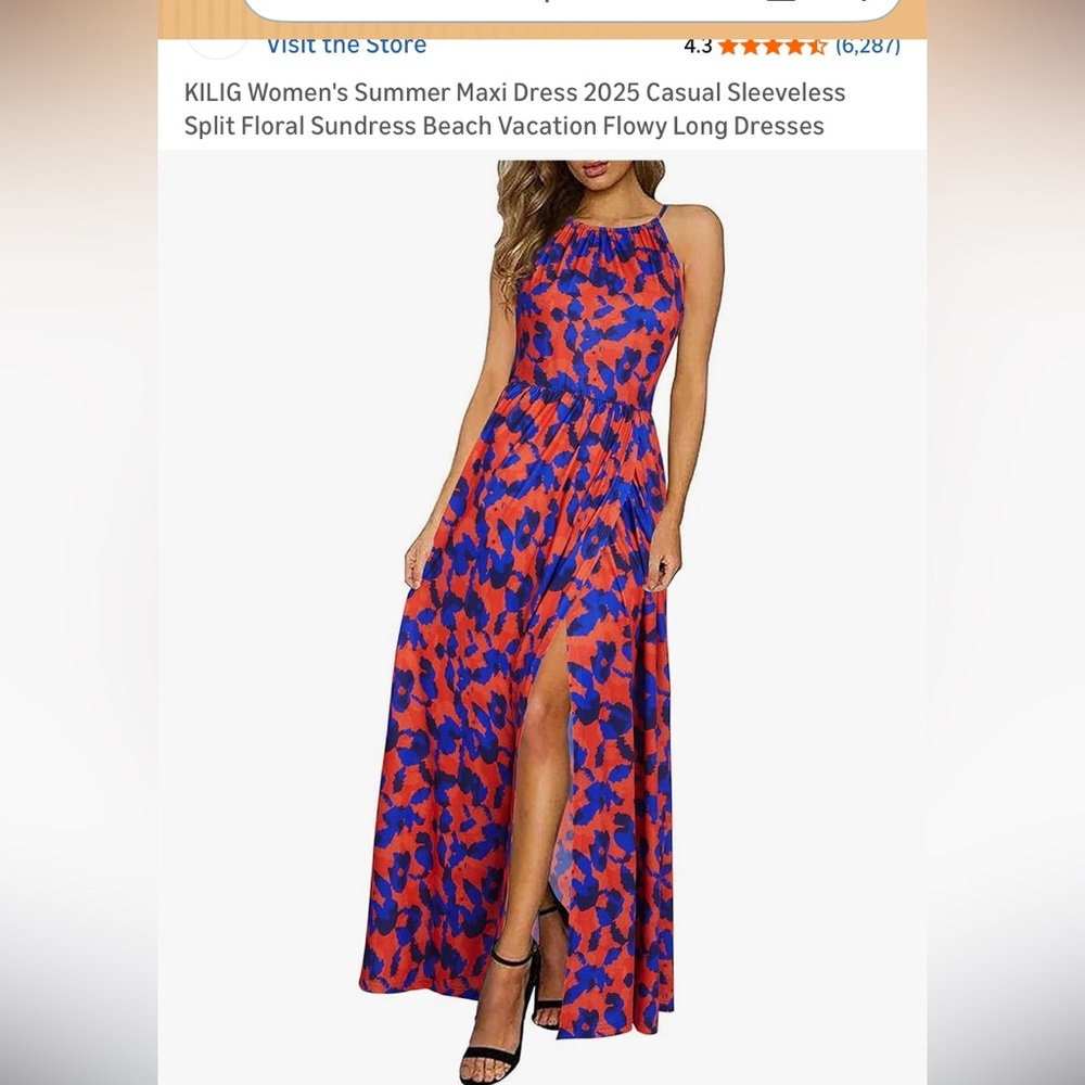 Women's Blue and Red Floral Maxi Dress